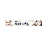 Firmenlogo von BambiniWelt