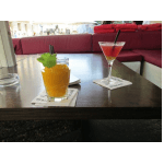 Company logo of Newton Bar