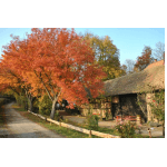 Firmenlogo von Landgasthof Rote Mühle
