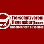 Firmenlogo von Tierschutzverein Regensburg und Umgebung e.V.