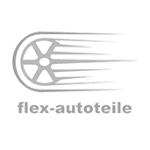 BREITBANDSCHELLEN FLEX FLEXROHR FLEXTEIL 55x200 /320mm 