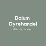 Firmenlogo von Dalum Dyrehandel